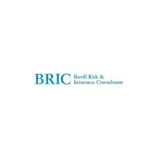 BRIC Logo Image