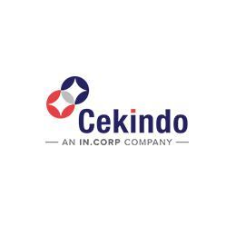 Cekindo Logo Image
