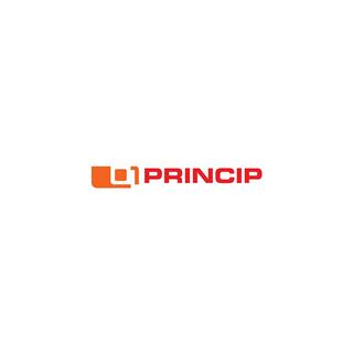 Princip Logo Image