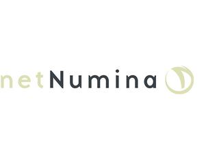 netNumina, Inc. Logo Image