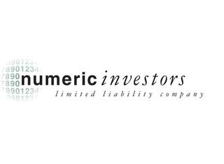 Numeric Investors logo image