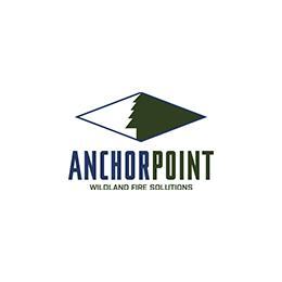 Anchor Point Logo Image