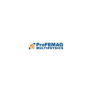 ProFEMAG Logo Image