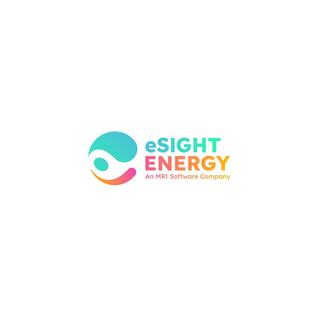 eSight Energy logo image