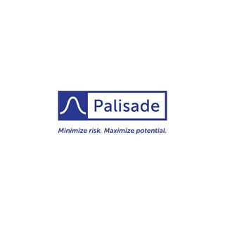 Palisade logo image