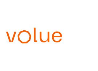 Volue Logo Detail